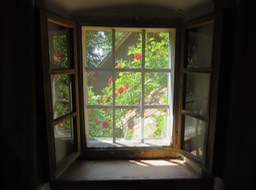 am Fenster