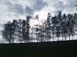 IMG_20200926_162219