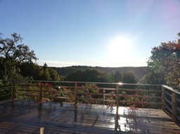 IMG_20200927_075049