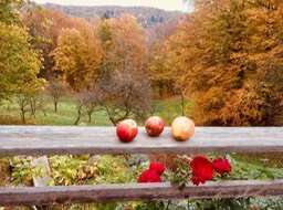 IMG_E0805