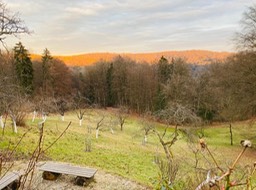 Terrassenblick